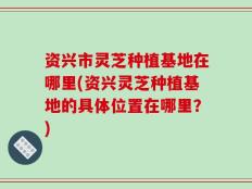 资兴市灵芝种植基地在哪里(资兴灵芝种植基地的具体位置在哪里？)