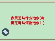赤灵芝与什么泡水(赤灵芝可与何物泡水？)