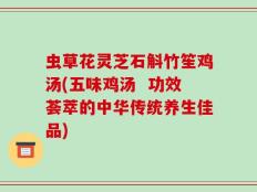 虫草花灵芝石斛竹笙鸡汤(五味鸡汤  功效荟萃的中华传统养生佳品)