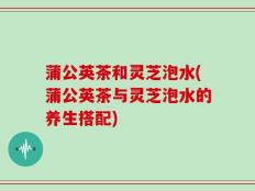 蒲公英茶和灵芝泡水(蒲公英茶与灵芝泡水的养生搭配)