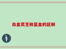 白盒灵芝和蓝盒的区别