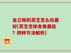 自己踩的灵芝怎么吃最好(灵芝怎样食用最佳？四种方法解析)