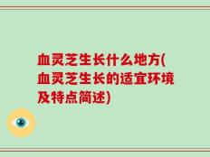 血灵芝生长什么地方(血灵芝生长的适宜环境及特点简述)