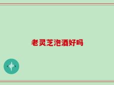 老灵芝泡酒好吗