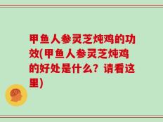 甲鱼人参灵芝炖鸡的功效(甲鱼人参灵芝炖鸡的好处是什么？请看这里)