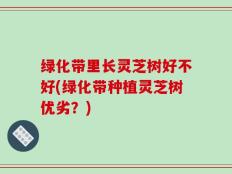 绿化带里长灵芝树好不好(绿化带种植灵芝树优劣？)