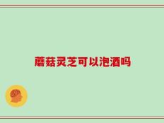 蘑菇灵芝可以泡酒吗