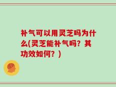 补气可以用灵芝吗为什么(灵芝能补气吗？其功效如何？)