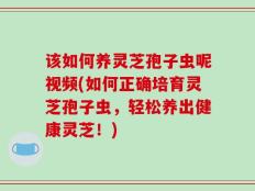 该如何养灵芝孢子虫呢视频(如何正确培育灵芝孢子虫，轻松养出健康灵芝！)