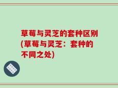 草莓与灵芝的套种区别(草莓与灵芝：套种的不同之处)