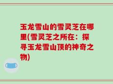 玉龙雪山的雪灵芝在哪里(雪灵芝之所在：探寻玉龙雪山顶的神奇之物)