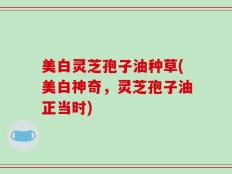 美白灵芝孢子油种草(美白神奇，灵芝孢子油正当时)