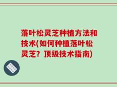 落叶松灵芝种植方法和技术(如何种植落叶松灵芝？顶级技术指南)