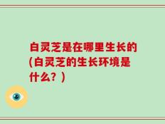 白灵芝是在哪里生长的(白灵芝的生长环境是什么？)