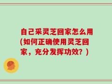 自己采灵芝回家怎么用(如何正确使用灵芝回家，充分发挥功效？)