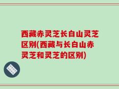 西藏赤灵芝长白山灵芝区别(西藏与长白山赤灵芝和灵芝的区别)