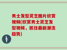 男士发型灵芝图片欣赏视频(欣赏男士灵芝发型视频，抓住最新潮流趋势)