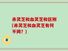 赤灵芝和血灵芝和区别(赤灵芝和血灵芝有何不同？)