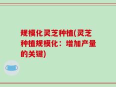 规模化灵芝种植(灵芝种植规模化：增加产量的关键)