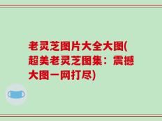 老灵芝图片大全大图(超美老灵芝图集：震撼大图一网打尽)