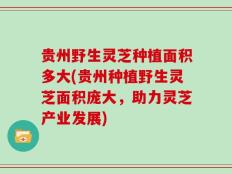 贵州野生灵芝种植面积多大(贵州种植野生灵芝面积庞大，助力灵芝产业发展)