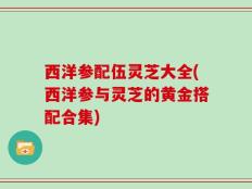 西洋参配伍灵芝大全(西洋参与灵芝的黄金搭配合集)