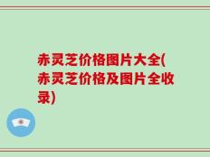赤灵芝价格图片大全(赤灵芝价格及图片全收录)