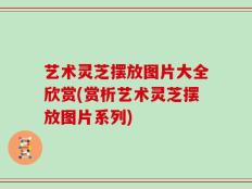 艺术灵芝摆放图片大全欣赏(赏析艺术灵芝摆放图片系列)