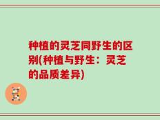 种植的灵芝同野生的区别(种植与野生：灵芝的品质差异)