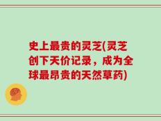 史上最贵的灵芝(灵芝创下天价记录，成为全球最昂贵的天然草药)