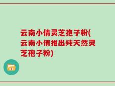 云南小倩灵芝孢子粉(云南小倩推出纯天然灵芝孢子粉)