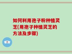 如何利用孢子粉种植灵芝(用孢子种植灵芝的方法及步骤)