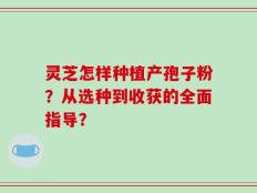 灵芝怎样种植产孢子粉？从选种到收获的全面指导？