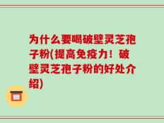 为什么要喝破壁灵芝孢子粉(提高免疫力！破壁灵芝孢子粉的好处介绍)