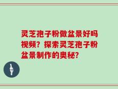灵芝孢子粉做盆景好吗视频？探索灵芝孢子粉盆景制作的奥秘？