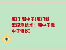 厦门 硼中子(厦门新型探测技术：硼中子慢中子谱仪)