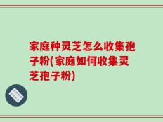家庭种灵芝怎么收集孢子粉(家庭如何收集灵芝孢子粉)