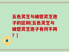 五色灵芝与破壁灵芝孢子的区别(五色灵芝与破壁灵芝孢子有何不同？)