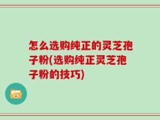怎么选购纯正的灵芝孢子粉(选购纯正灵芝孢子粉的技巧)