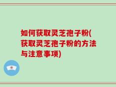 如何获取灵芝孢子粉(获取灵芝孢子粉的方法与注意事项)