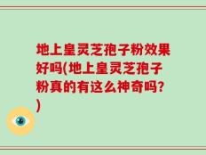 地上皇灵芝孢子粉效果好吗(地上皇灵芝孢子粉真的有这么神奇吗？)