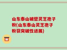 山东泰山破壁灵芝孢子粉(山东泰山灵芝孢子粉获突破性进展)