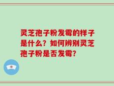 灵芝孢子粉发霉的样子是什么？如何辨别灵芝孢子粉是否发霉？