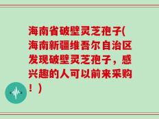 海南省破壁灵芝孢子(海南新疆维吾尔自治区发现破壁灵芝孢子，感兴趣的人可以前来采购！)