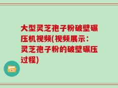 大型灵芝孢子粉破壁碾压机视频(视频展示：灵芝孢子粉的破壁碾压过程)