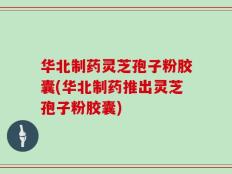 华北制药灵芝孢子粉胶囊(华北制药推出灵芝孢子粉胶囊)