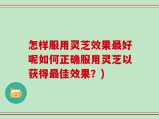 怎样服用灵芝效果最好呢如何正确服用灵芝以获得最佳效果？)