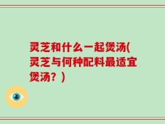 灵芝和什么一起煲汤(灵芝与何种配料最适宜煲汤？)