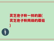灵芝孢子粉一样的菌(灵芝孢子粉同级的蘑菇)