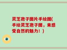 灵芝孢子图片手绘图(手绘灵芝孢子图，来感受自然的魅力！)